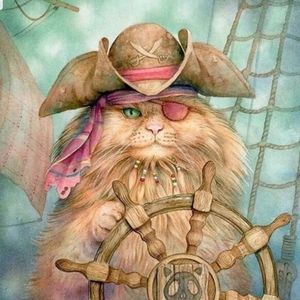 Котлин_Остров_Котов_Кронштадт