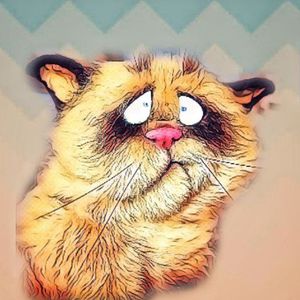 Ш е р с т я н а я П е р с о н а