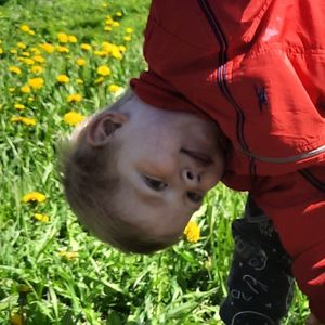 Looky_1717071235484