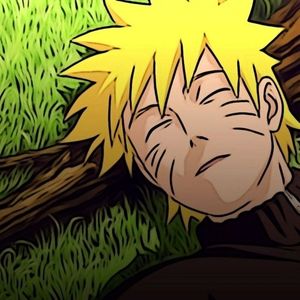 FAN AnImE