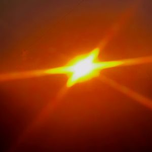 Looky_177057518659670