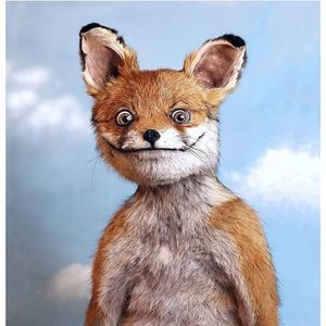 GrandmamasFox