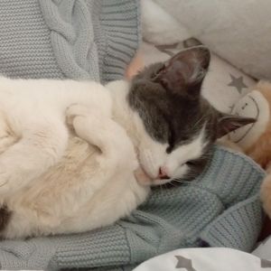 Козлова Женя