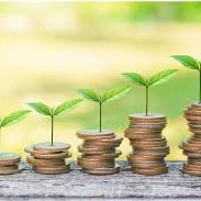 Investing