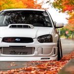 Subaru_Worldpicture