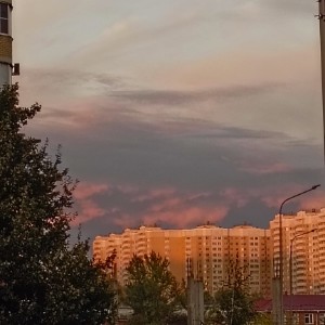 Лунный Щенок