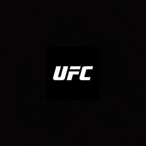 UFC fighter