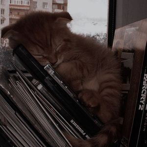 Igor_roblog