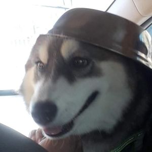 emimi