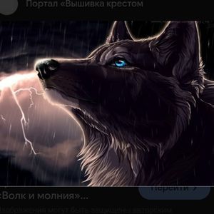 волк моей зайки