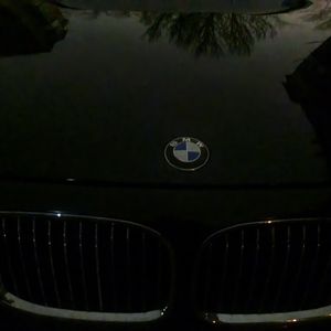 Looky_177506341667771